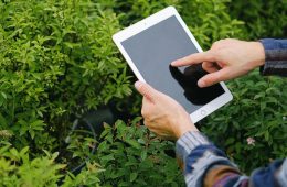 Pueblos en Clave Digital, competencias tecnológicas para la población rural