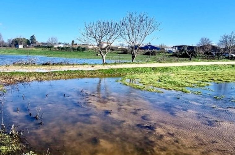 Abierto el plazo para aceptar las ayudas por los daños causados por las borrascas (Foto MAPA)