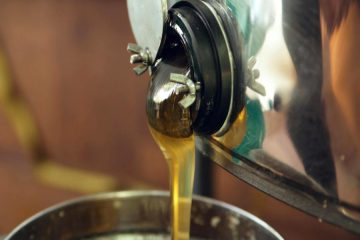 La UE reduce la producción de aceite de oliva prevista para la actual campaña