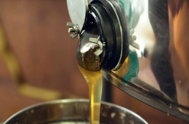 La UE reduce la producción de aceite de oliva prevista para la actual campaña