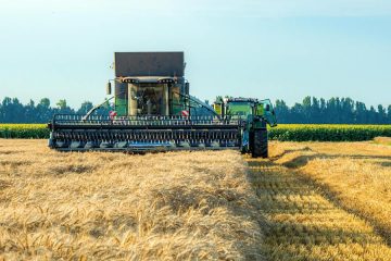 Los líderes mundiales del sector del cereal analizan en Sevilla el impacto geopolítico e incremento de costes