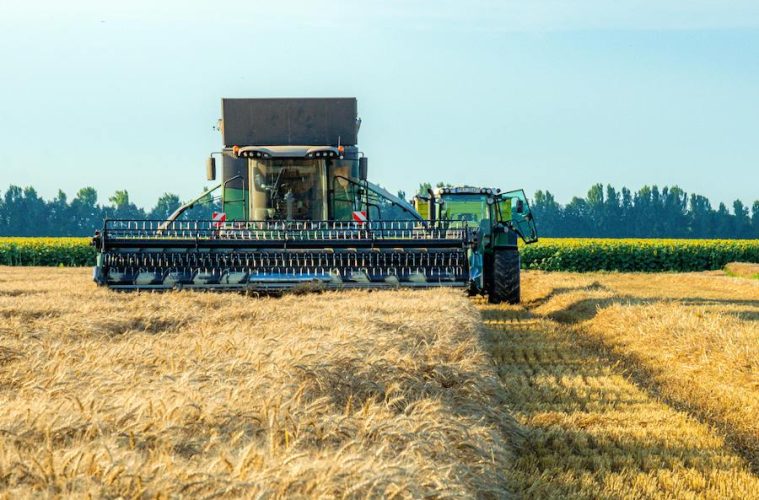 Los líderes mundiales del sector del cereal analizan en Sevilla el impacto geopolítico e incremento de costes