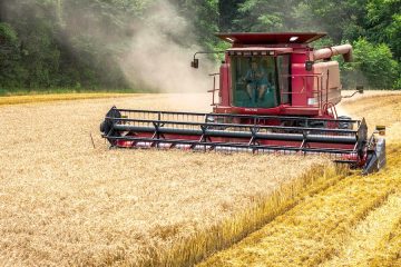 Los precios mundiales de los alimentos suben, debido al conflicto en Cercano Oriente
