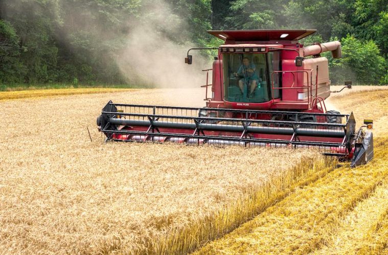 Los precios mundiales de los alimentos suben, debido al conflicto en Cercano Oriente