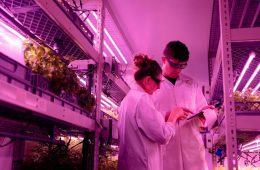La agricultura y la alimentación en el Horizonte 2040 Retos y previsiones
