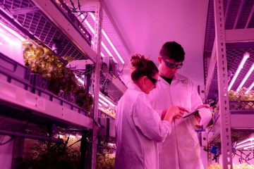 La agricultura y la alimentación en el Horizonte 2040 Retos y previsiones