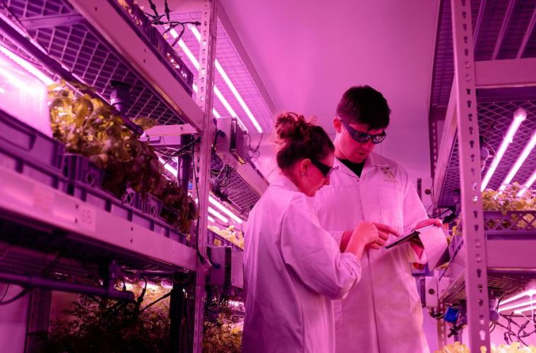 La agricultura y la alimentación en el Horizonte 2040 Retos y previsiones