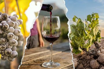 La añada 2025 de Jumilla, calificada como Muy Buena