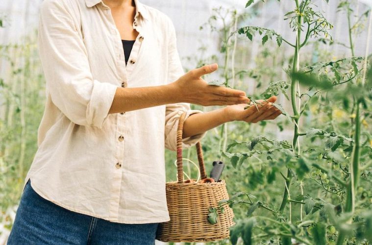 Los jóvenes que se incorporan a la agricultura prefieren la producción ecológica