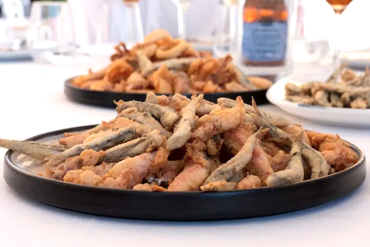Nueva edición del Concurso de Fritura Malagueña Fritos con arte (Foto: Academia)