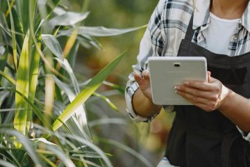 Nuevo sello oficial Spain AgrifoodTech para empresas innovadoras del ámbito agroalimentario
