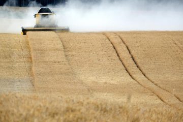 Ya se conocen los módulos para agricultores y ganaderos, con importantes reducciones en el IRPF