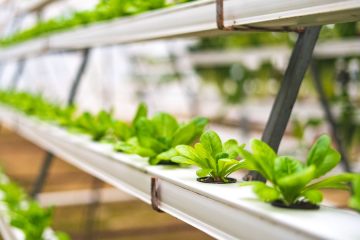 Decálogo del compromiso de la industria alimentaria con el medio ambiente