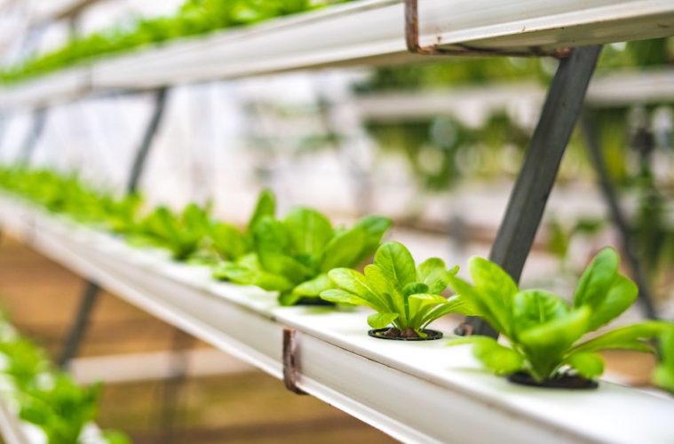 Decálogo del compromiso de la industria alimentaria con el medio ambiente