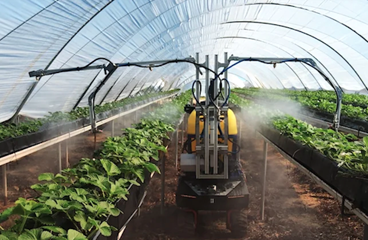 El nuevo plan Renove de maquinaria agraria incluye también los robots agrícolas (Foto Eurecat)