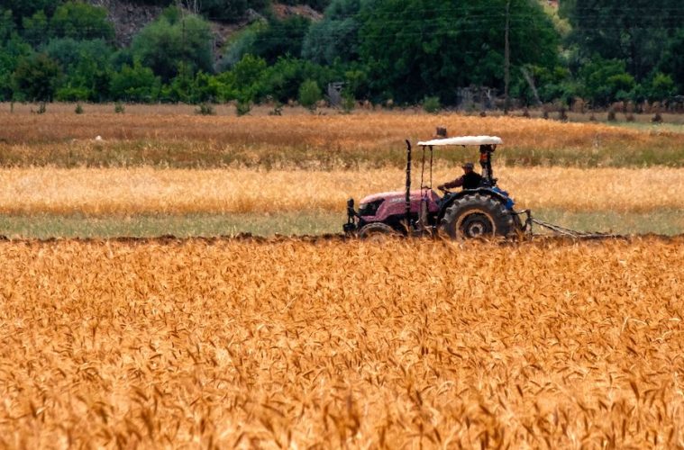 El tractor, presente en la mayoría de siniestros en el sector agrario