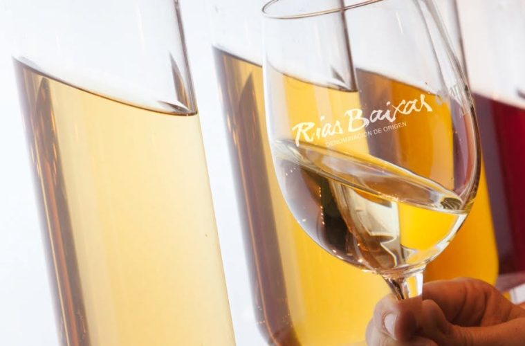 La añada 2025 de Rías Baixas, calificada como Muy Buena (Foto DOP)