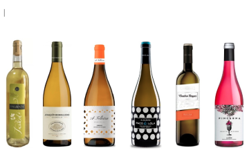 Los mejores vinos jóvenes, de la cosecha 2025 (Foto UEC)