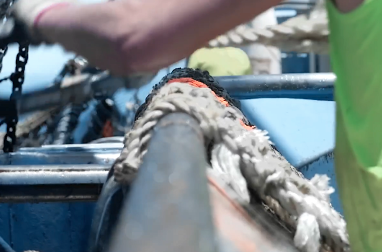 En el Día Mundial de los Océanos, ¿es sensible el consumidor a las condiciones laborales de los pescadores?