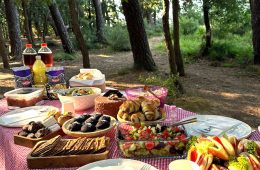 Ante las sucesivas olas de calor, recomendaciones de la Autoridad Europea de Seguridad Alimentaria para evitar toxiinfecciones.