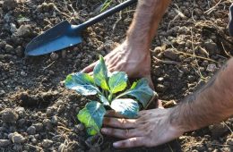 Anunciado el Plan Estatal de Fertilizantes para paliar la crisis por la guerra en Irán
