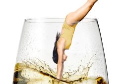 Comienza el Festival Vino Somontano, que este año coincide con el inicio de la vendimia