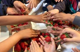Escolares aprendiendo a comer sano (Foto Mercamadrid)