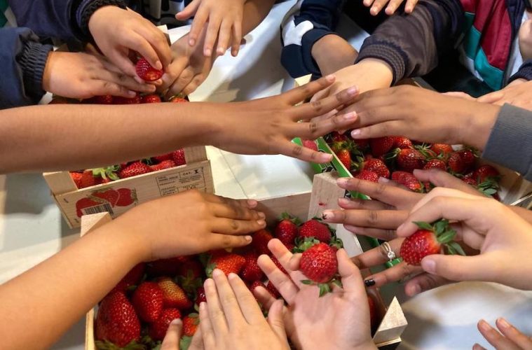 Escolares aprendiendo a comer sano (Foto Mercamadrid)