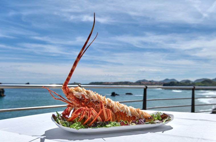 La langosta de Isla, un tesoro gastronómico del Ecoparque de Trasmiera