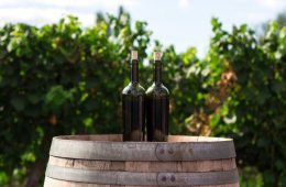 Los mejores vinos de pequeñas Denominaciones 2026