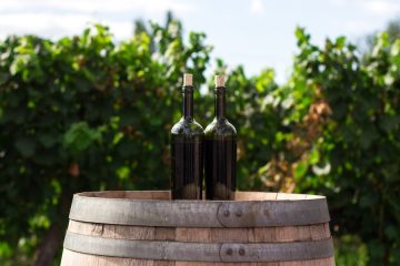 Los mejores vinos de pequeñas Denominaciones 2026
