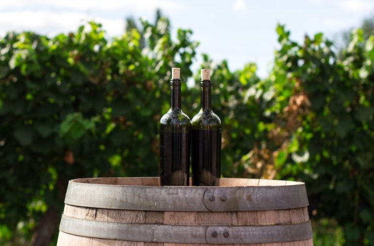 Los mejores vinos de pequeñas Denominaciones 2026