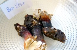 Los percebes de Puerto Vega (Asturias), los mejores del mundo