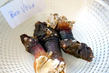 Los percebes de Puerto Vega (Asturias), los mejores del mundo
