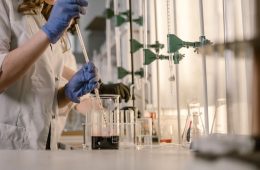 Patrones que conectan la microbiota intestinal con la salud metabólica en la obesidad