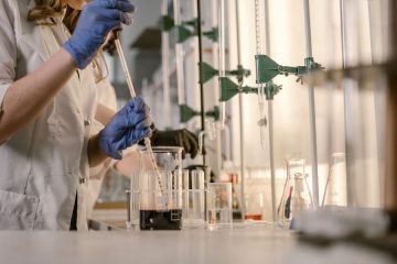 Patrones que conectan la microbiota intestinal con la salud metabólica en la obesidad