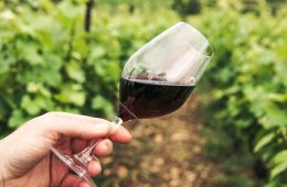 Premios EcoRacimo a los mejores vinos y vinagres ecológicos