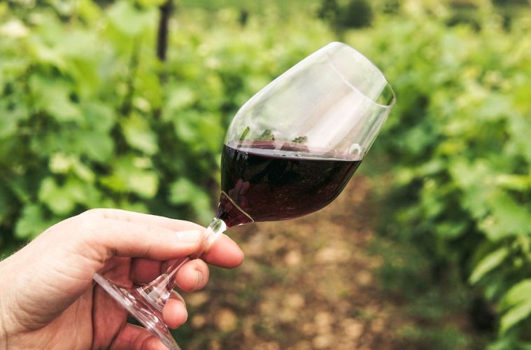 Premios EcoRacimo a los mejores vinos y vinagres ecológicos