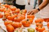 Preparando el Concurso de Mejor Tomate Antiguo en Polanco (Cantabria) - Foto Ayto Polanco
