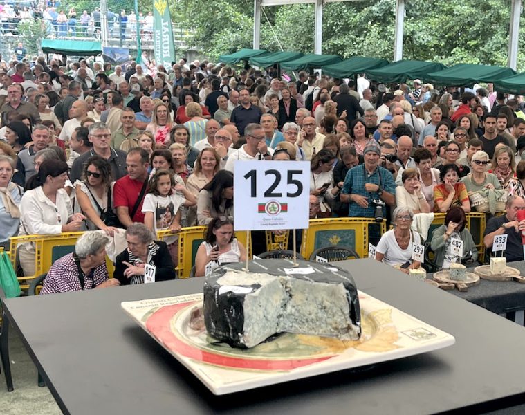 Cabrales consigue su sexto récord Guinness, 37 500 euros por el mejor queso del año