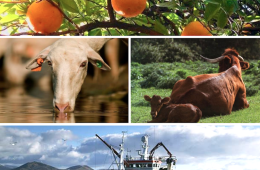 El sector agroalimentario y pesquero sigue siendo el principal exportador de la economía española (Foto MAPA)