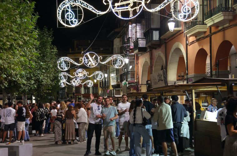 Cuenta atrás para la Gran Fiesta de la Vendimia en Ribera del Duero (Foto DOP)
