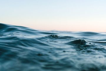 Nuevos Espacios de Conocimiento para la Economía Azul en mares y océanos