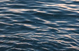 Un proyecto avanza en la eliminación de los microplásticos del agua