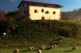 A punto el Concurso de quesos de pastor en Ordizia (Foto DO Idiazabal)