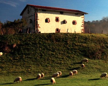 A punto el Concurso de quesos de pastor en Ordizia (Foto DO Idiazabal)