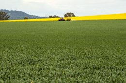Córdoba, sede de la Conferencia iberoamericana de ministras y ministros de Agricultura y Pesca