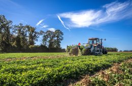El Gobierno mantendrá el apoyo para compensar el sobrecoste del gasóleo agrícola