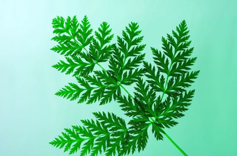 Entra en vigor la nueva Directiva europea contra el greenwashing