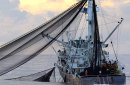 La flota atunera española impulsa una alianza internacional para retirar dispositivos abandonados en los océanos (Foto OPAGAC)